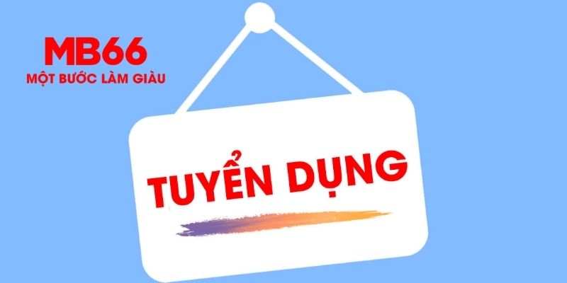 Các vị trí tuyển dụng MB66 phổ biến và nhu cầu nhân sự