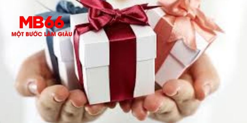 Khuyến mãi MB66 dành cho thành viên lâu năm