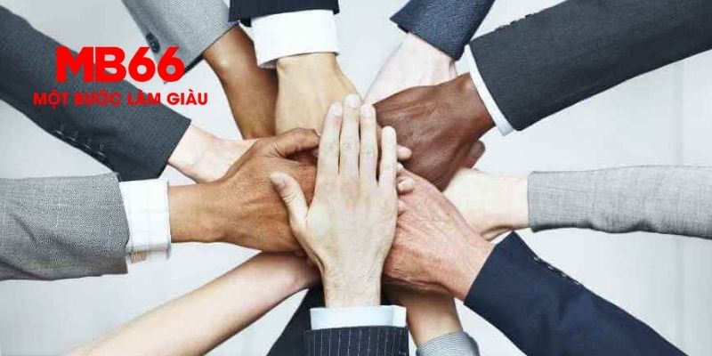 Yêu cầu và cách vận hành chương trình đại lý MB66